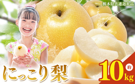 栃木県産梨 にっこり 10kg
