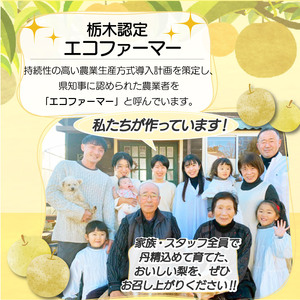 栃木県産梨 にっこり 10kg