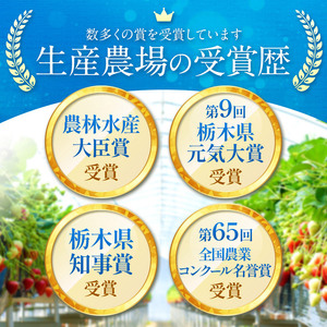 大人気! 最旬とちあいか 約1120g 4パック いちご