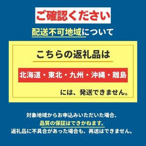 【11~12月発送】ご褒美いちご とちあいか 2L以上 約560g 280g×2パック