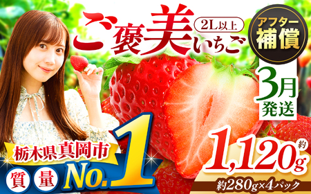【3月発送】ご褒美いちご とちあいか 2L以上 約1120g 280g×4パック