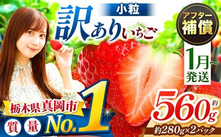 訳あり 小粒 とちあいか 約560g (280g×2パック)