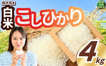 こしひかり 白米 約4kg