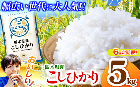 【定期便6回】栃木県産コシヒカリ 5kg