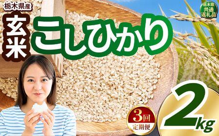 【定期便3回】こしひかり 玄米 約2kg