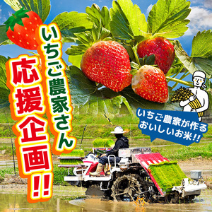 【定期便3回】とちぎの星 玄米 約5kg