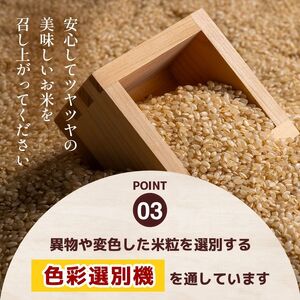 【定期便3回】ミルキークイーン 玄米 約4kg