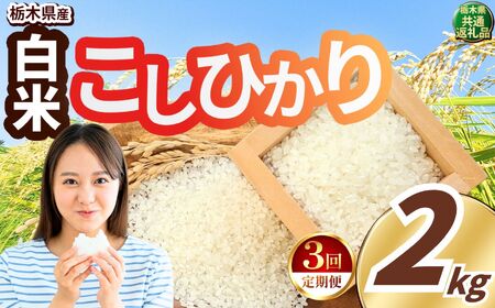 【定期便3回】こしひかり 白米 約2kg