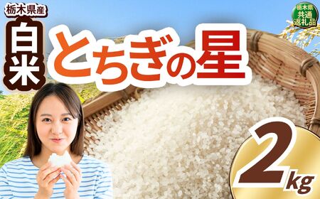 【定期便3回】とちぎの星 白米 約2kg