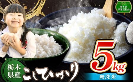 お米 こしひかり 無洗米 5kg 栃木県産