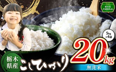 お米 こしひかり 無洗米 20kg 栃木県産