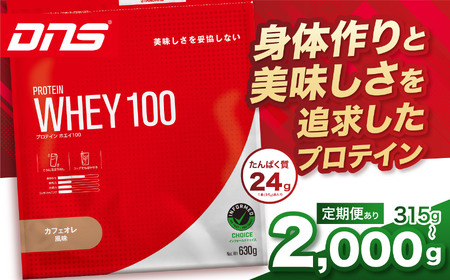 【定期便3回】DNS プロテインホエイ 100 カフェオレ 風味 315g