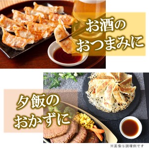 宇都宮餃子 4箱セット(肉2箱/野菜１箱/しそ１箱)