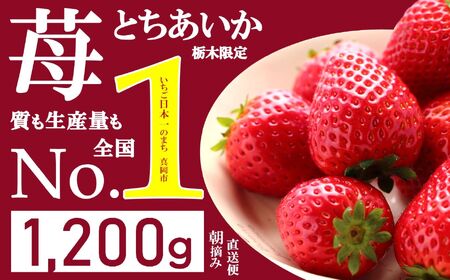 【先行予約】とちあいか いちご 1200g 