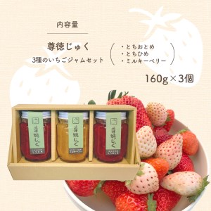 尊徳じゅく 3種のいちごジャムセット