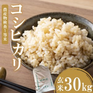 お米 コシヒカリ 玄米 30kg 真岡市産