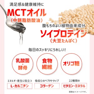 DHC プロティン ダイエット MCT プラス ( 15袋入 )