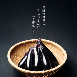 ソムリエサミット金賞「ごほう美 ナス 」約5kg