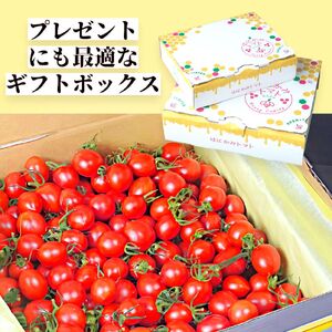 太陽の恵みをたっぷり浴びた はにかみトマト 3kg ミニトマト  真岡市 栃木