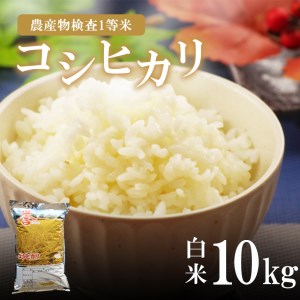 お米 コシヒカリ 10kg 白米 真岡市産