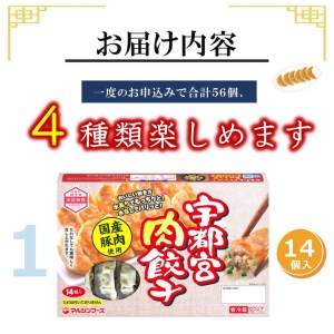 【定期便3回】 宇都宮餃子４箱ｾｯﾄ(肉/野菜/しそ)