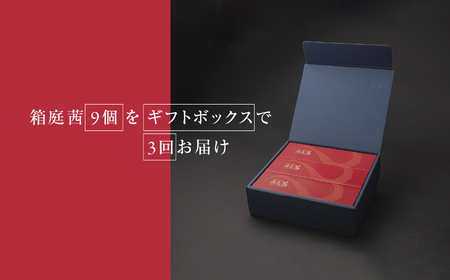 【定期便3回】見た目も旨みも想像以上・箱庭たまごの「箱庭茜」9個 ギフトボックス