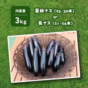 野菜 ナス 旬を味わうナス 約3kg