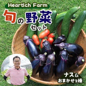 野菜 ナス Heartich Farm旬の野菜セット（おまかせ3種）