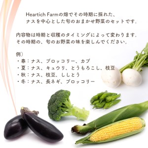 野菜 ナス Heartich Farm旬の野菜セット（おまかせ3種）