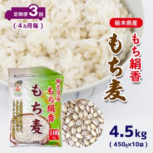 【定期便】 栃木県産もち絹香 もち麦 (450g×10袋) 3回定期 (4ヶ月毎)