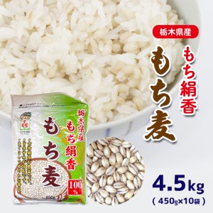 もち麦 栃木県産もち絹香　もち麦　4.5kg（450g×10袋）