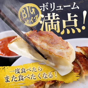 【定期便3回】たじまやオリジナルビッグ 餃子 60個