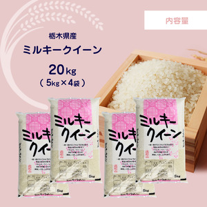 栃木県産ミルキークイーン 20kg | 米 おすすめ 米 rice 精米 栃木県産ミルキークイーン 20kg | 米 おすすめ 米 rice 精米