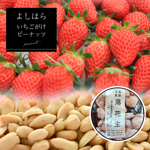 【よしはら】いちごがけピーナッツ（3袋） 真岡市 栃木県 送料無料