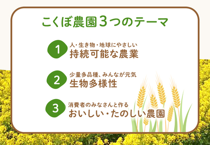 地粉うどんセット（有機JAS認証取得の農地で栽培した小麦100％18食分） 250g6束セット