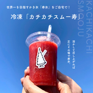 【先行予約】寿氷 夏の 八重洲 6 シックス　6種類 食べ比べ セット スモール 真岡市 栃木県