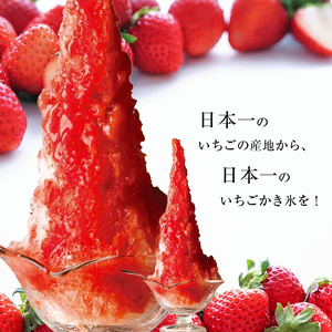 【先行予約】寿氷 夏の カチカチ シックス 6種類 食べ比べ セット スモール 真岡市 栃木県