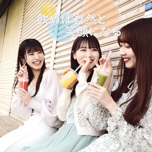 【先行予約】寿氷 夏の カチカチ シックス 6種類 食べ比べ セット スモール 真岡市 栃木県