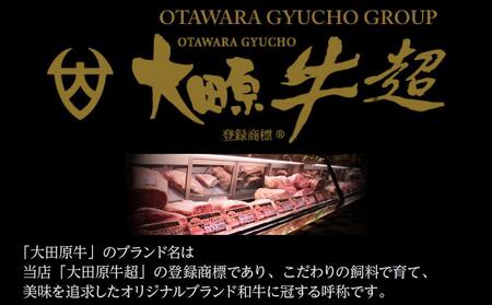 大田原牛 極上牛 こま切り落とし肉（400g）| ブランド 和牛 牛肉 高級 切り落とし 牛丼 