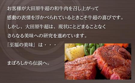 大田原牛 極上牛 こま切り落とし肉（400g）| ブランド 和牛 牛肉 高級 切り落とし 牛丼 