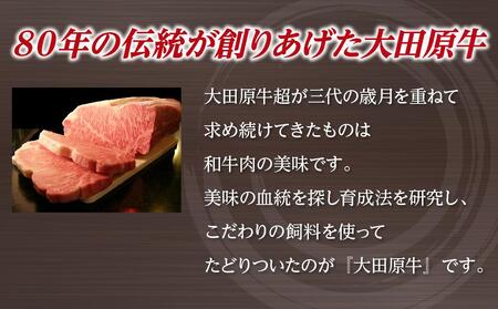 大田原牛 特上 シャトーブリアン （フィレ） ステーキ 2枚セット | ブランド牛 和牛 牛肉  高級 ヒレ 300g