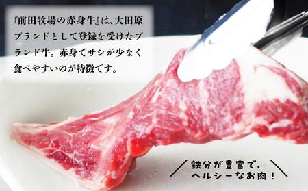 大田原ブランド認定牛 前田牧場の赤身牛 フィレ ステーキ 150g×3枚 | 牛肉 高級 ブランド牛 ヒレ ステーキ