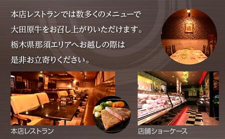 大田原牛 100% ビーフカレー&ビーフシチュー 詰め合わせ 各2パックセット | レトルト カレー ビーフシチュー 和牛 牛肉 高級