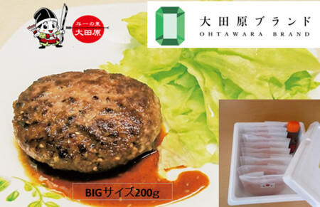 大田原市公式「大田原ブランド」認定第7号「与一和牛100%生ハンバーグ」200g10個入りソース付き