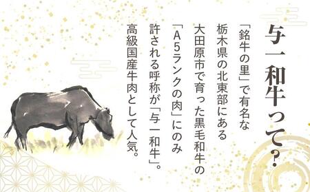 大田原市公式「大田原ブランド」認定第7号「与一和牛100%生ハンバーグ」200g10個入りソース付き