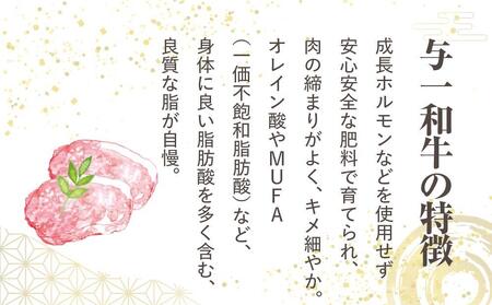 大田原市公式「大田原ブランド」認定第7号「与一和牛100%生ハンバーグ」200g10個入りソース付き