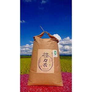 令和7年度産 體力米（たいりょくまい）コシヒカリ 白米 10kg ｜ 米  ブランド米 栃木県 大田原市