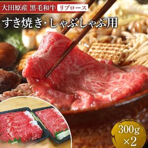 大田原産 黒毛和牛 リブロース すき焼き・しゃぶしゃぶ用　300g×2