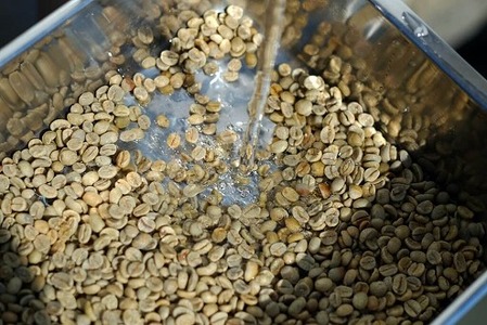 wabisuke自家水洗焙煎珈琲(粉) 生産国別×3