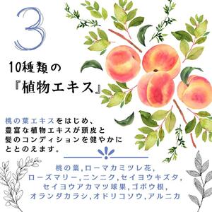 桃の葉エキス シャングリラヘアケアーシリーズ（シャンプー・トリートメントセット）